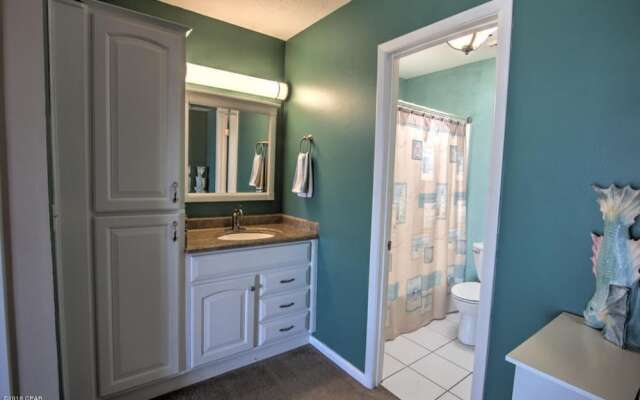 Sunbird Paradise - 1383972