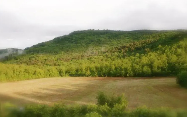 Borgo Calcinari