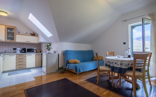 Apartments and Room Robert