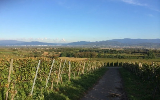 Gasthaus zum Hirschen