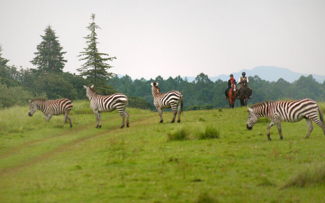 Fairmont Mount Kenya Safari