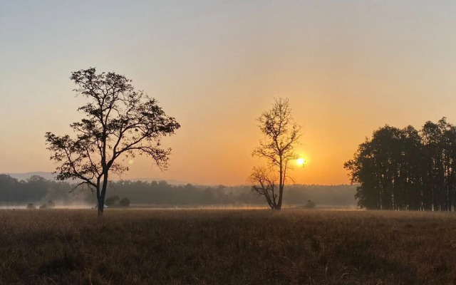 Saccharum Safari Lodge