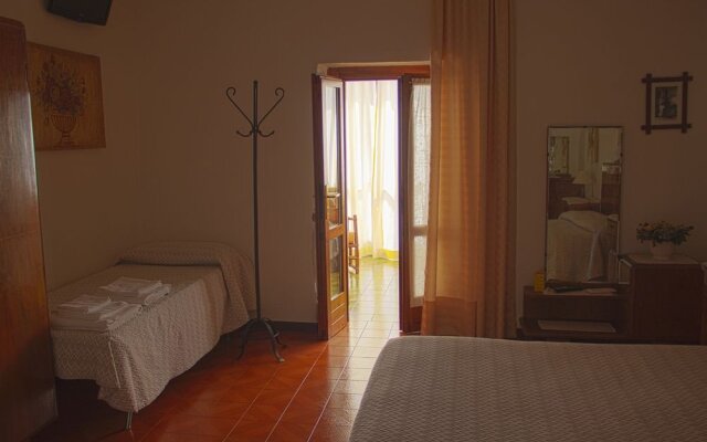B&B Il Vigneto