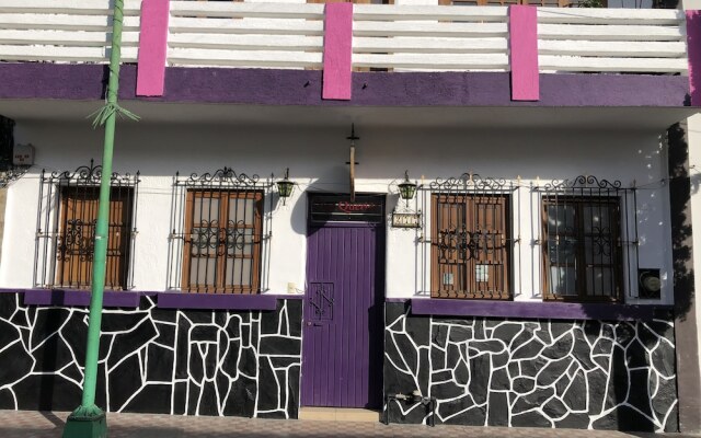 Olga Querida Hostal - Hostel