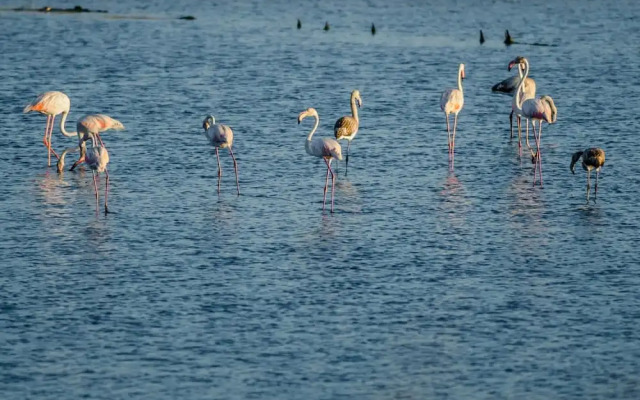 Sea View Apartment by Rent4all