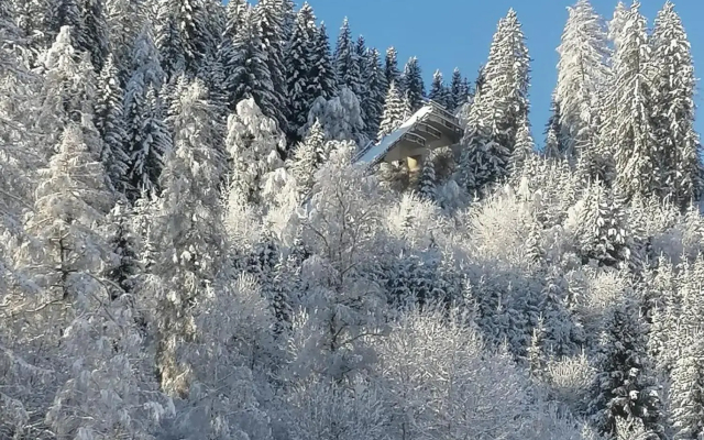 Sprungschanze Haus