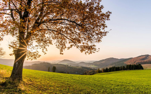 Sauerland Alpin Hotel