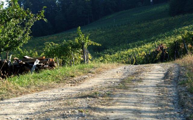 Weingut Primus - Südsteiermark