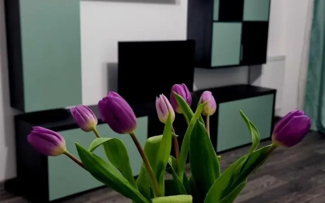 Swan Brasov Apartment