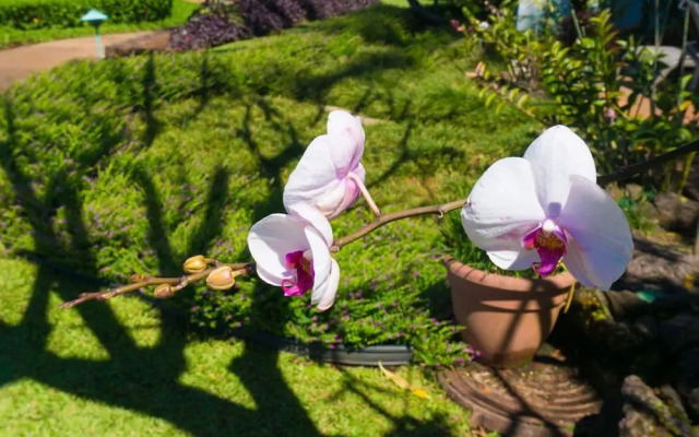 Pali Ke Kua 119 By Redawning