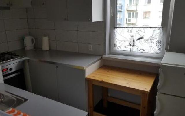 StudioSpanie Apartament Alfa
