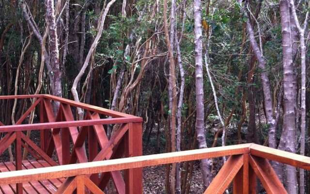 Cabañas Ensenada Bosque Nativo