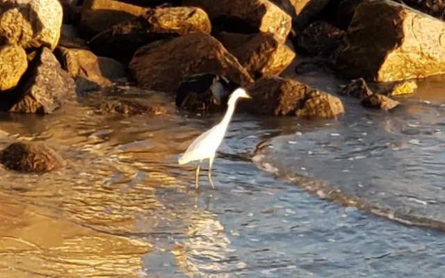 Apartamento PÉS NA AREIA