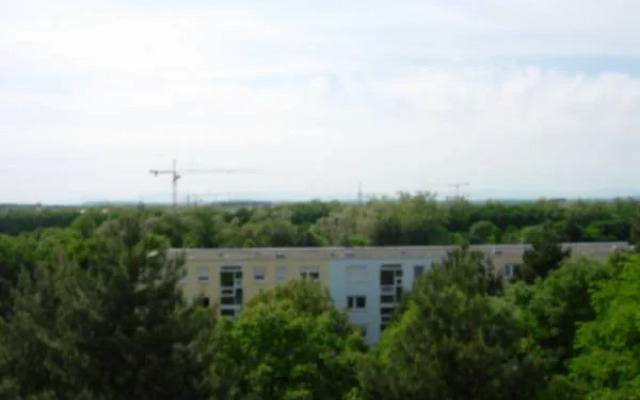 Vogesenblick Oetjens