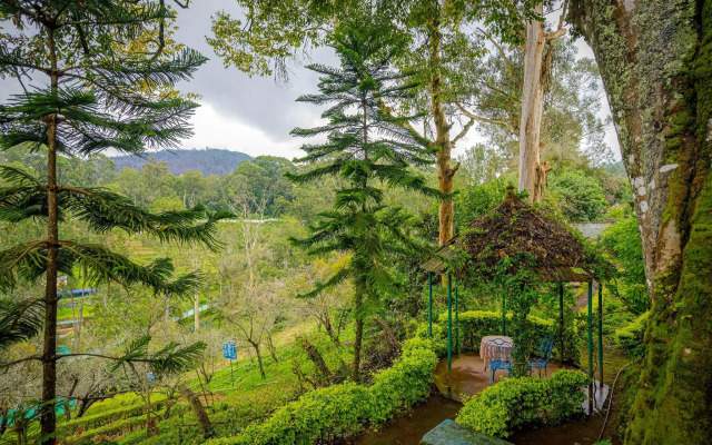 Wallwood Garden Coonoor