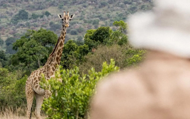 Royal Mara Safari Lodge