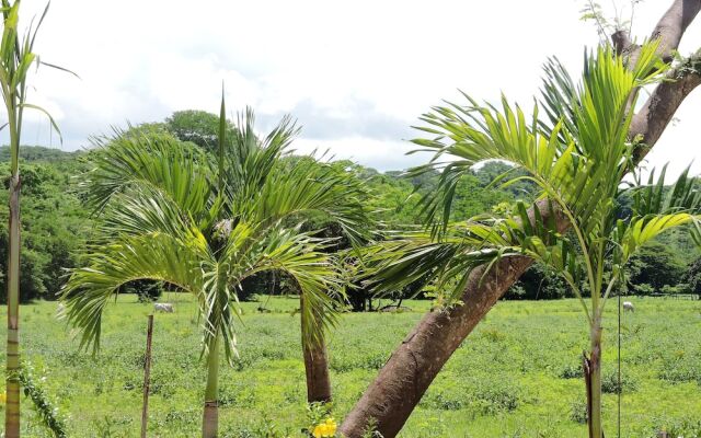 Las Perlitas Boutique Hotel