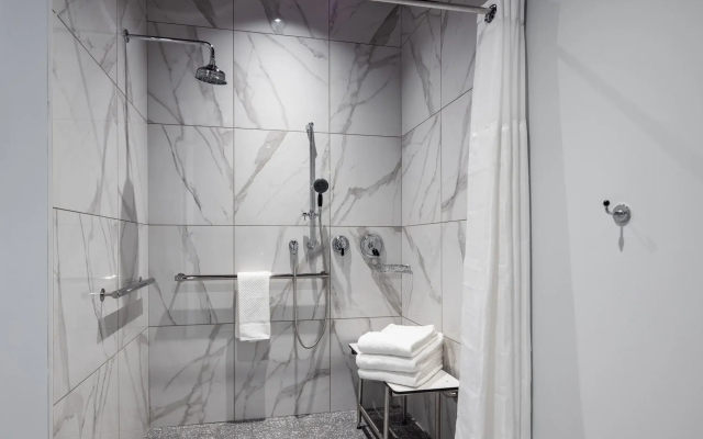 Canopy by Hilton Chicago Central Loop