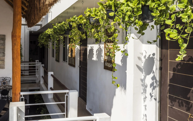 Coconut Hotel Boutique
