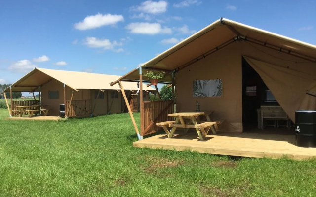 Tent Lodge With Sanitary Facilities at the Bedafse Bergen - Campsite