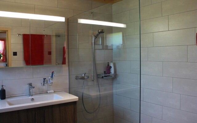 Alphaus Hasler Lenk in Lenk