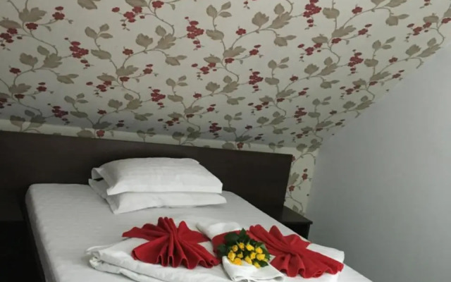Pension La Viorel