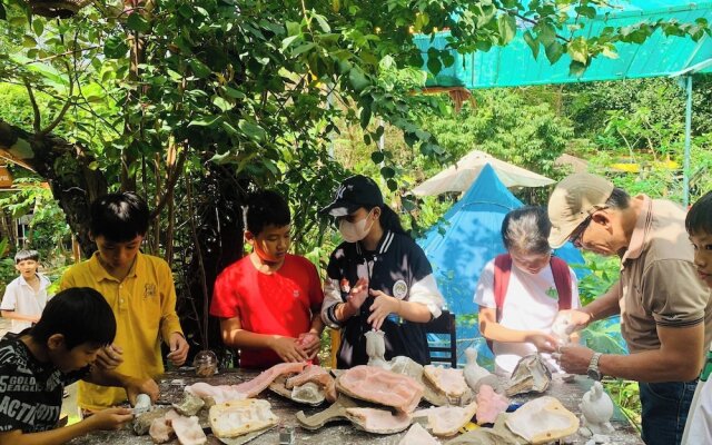 Hue Lotus Homestay