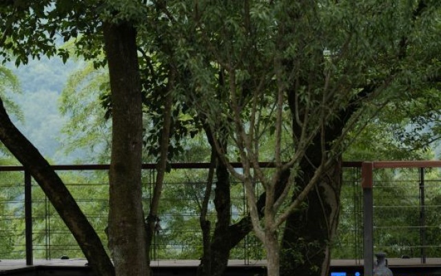 Qingcheng Mountain Just on the Stream · Mountain Stream Bamboo Forest Private Soup B&B – Outside – Chengdu