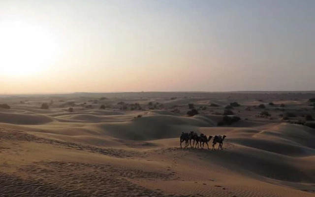 Dunes Desert Safari And Camp