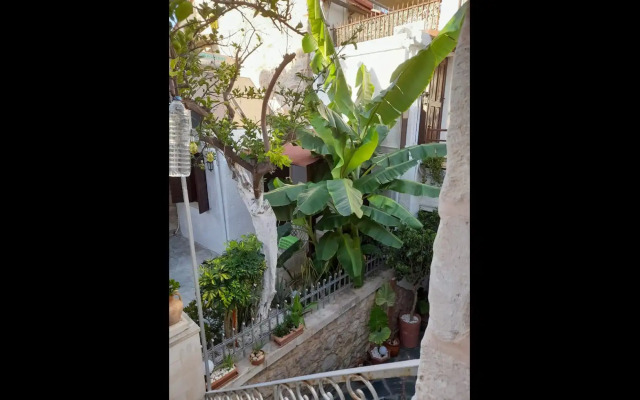 Dome Garden