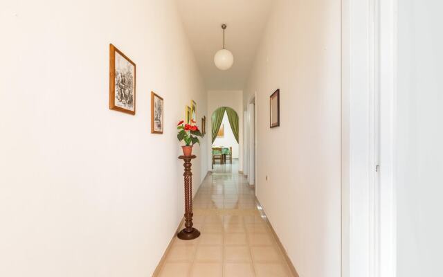 3448 Villetta Stellastrea by Barbarhouse