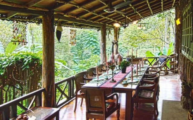 Fig Tree Hill Resort
