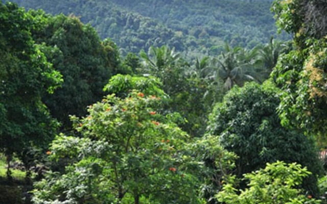 Buritara Resort, Phangan Island