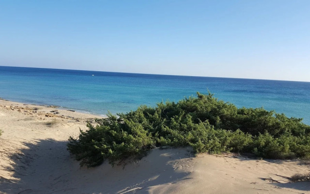 Villa Boschetto B&B - Apartments