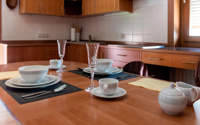 Rožna Dolina Apartment