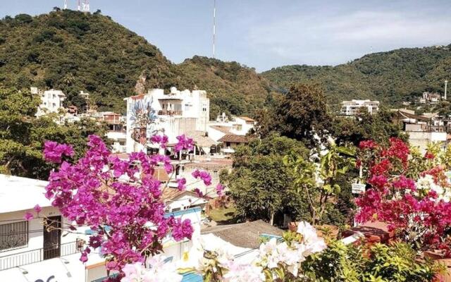 "vive La Zona Romántica En Puerto Vallarta"