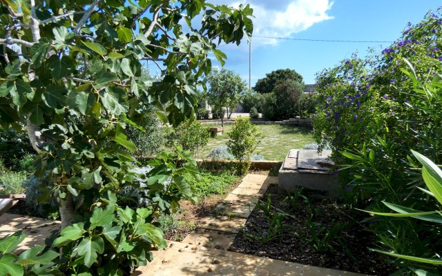 Lentisco - Residenza Arcangela con Piscine nel Salento