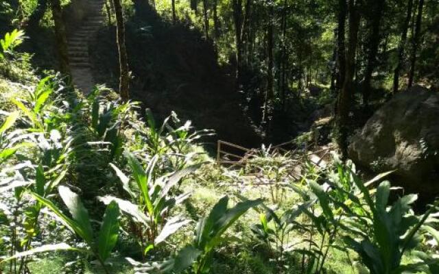 Tieedi Earthy Dwelling