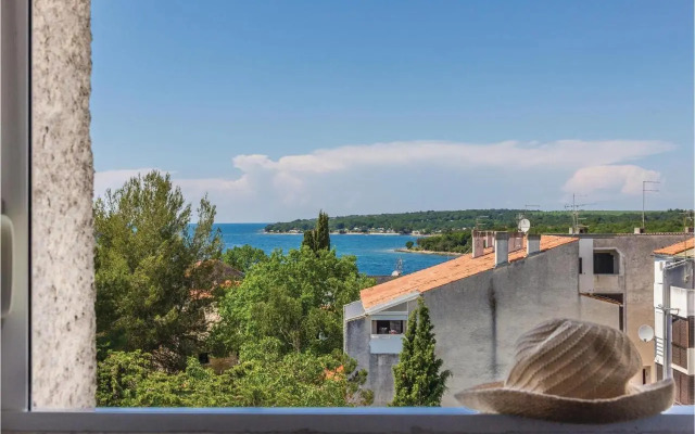 Two-Bedroom Apartment in Cervar Porat