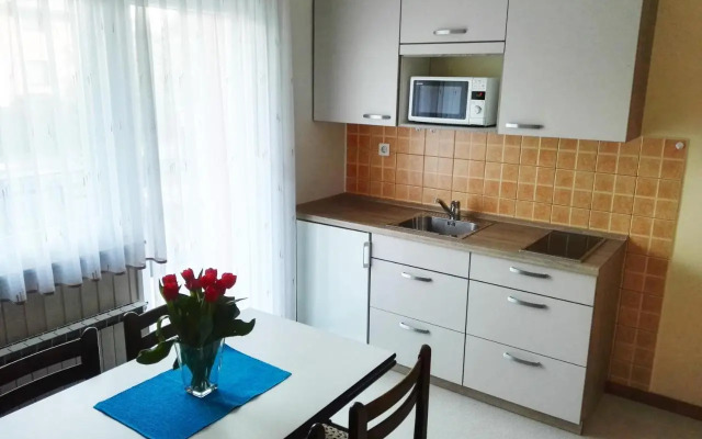 Apartments Silič