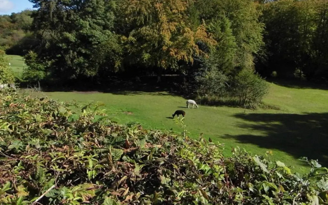 The Mill at Glynhir