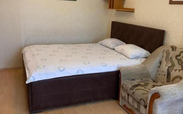 Studio on Vandy Vasylevskoi 8