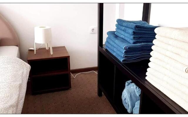 Dobricin konak, Apartman 202