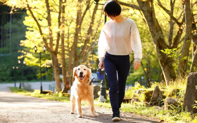 Izumigo Takayama Dog Paradise Hotel