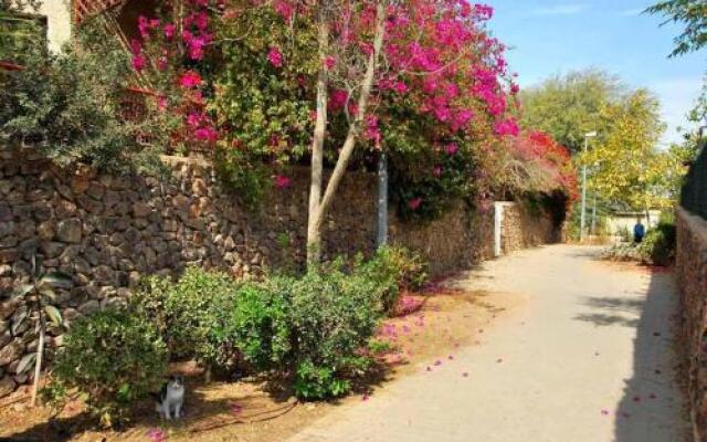 LeSaNel - Guest House
