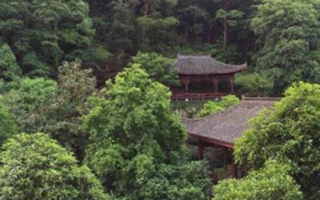 Plum Bamboo Resort Hotel Hangzhou