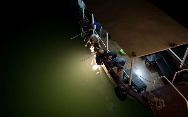 UniCharm Cruise