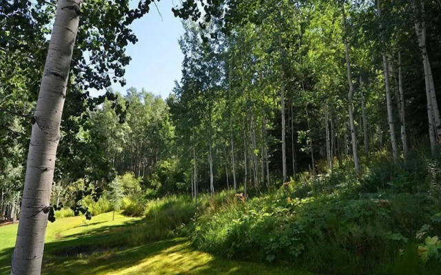 Meadow Brook Chalet