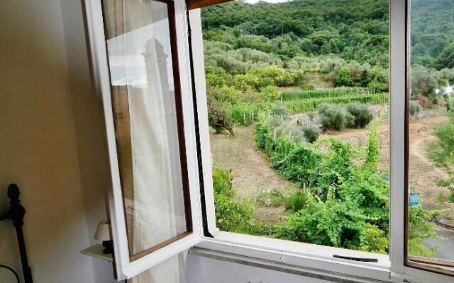 Agriturismo Barilaro