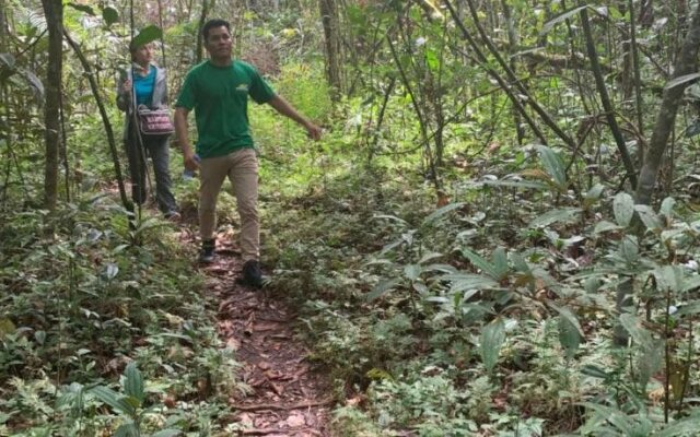 Amazônia ParkSuítes